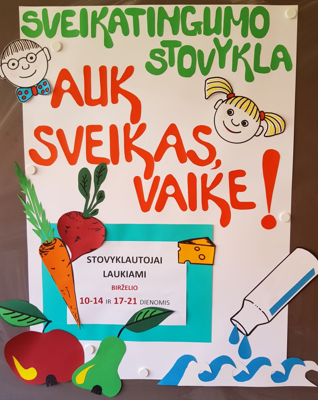 VASAROS PRADŽIOS NAUJIENOS